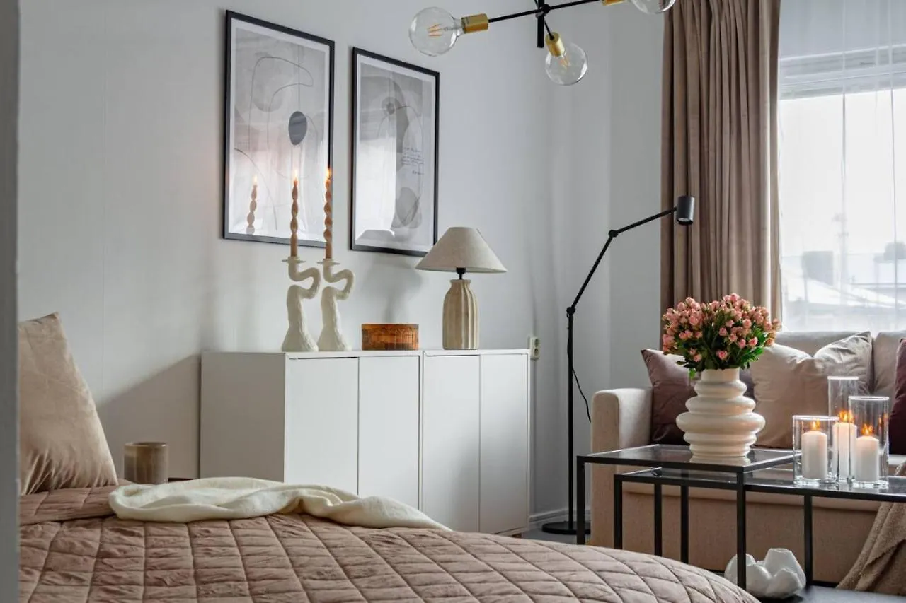 Simple Studio In Trendy Soedermalm - Construction Work Stockholm Sweden